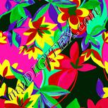 Colour:B