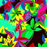 Colour:C