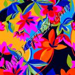 Colour:J
