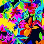 Colour:K