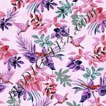 Colour:B
