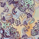 Colour:A