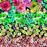 Colour:C