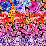 Colour:J
