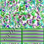 Colour:B