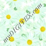 Colour:K