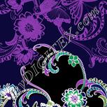 Colour:F