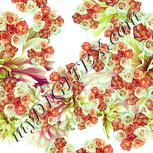 Colour:K