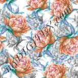 Colour:B