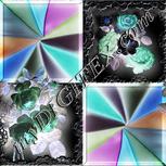 Colour:F