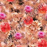Colour:J