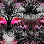 Colour:B