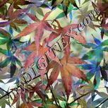 Colour:A