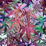 Colour:B