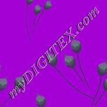 Colour:D