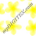 Colour:K