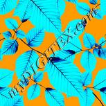 Colour:A