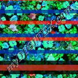 Colour:F