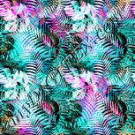 Colour:B
