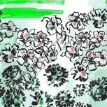Colour:C