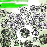 Colour:D