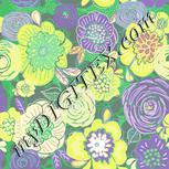 Colour:B