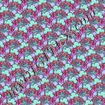 Colour:B