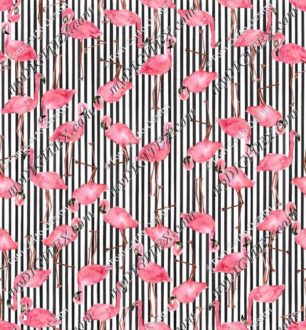 Stripes bird