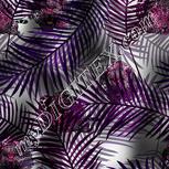 Colour:B