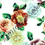 Colour:K