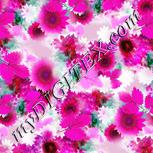 Colour:B