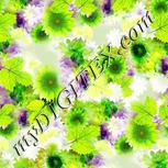 Colour:D