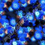 Colour:F
