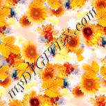Colour:J