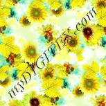 Colour:K