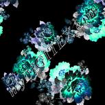 Colour:F