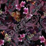Colour:B