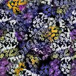 Colour:A