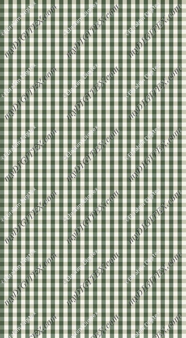 TR008 IDN