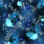 Colour:F