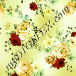 Colour:K
