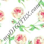 Colour:K