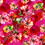 Colour:B