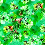 Colour:C