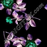 Colour:F