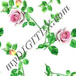 Colour:K