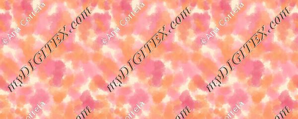 ana-correia-576