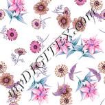 Colour:B