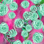 Colour:C