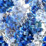 Colour:A